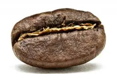 精品咖啡豆产地介绍 萨尔瓦多精品咖啡 萨尔瓦多咖啡的特色 萨尔
