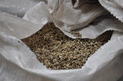 巴拿马咖啡生豆烘焙经验 巴拿马的豆子怎么烘焙？ 咖啡豆的烘焙心