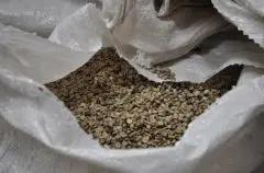 巴拿马咖啡生豆烘焙经验 巴拿马的豆子怎么烘焙？ 咖啡豆的烘焙心