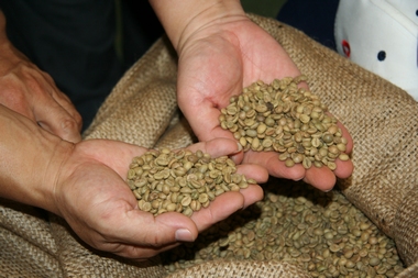 埃塞俄比亚水洗耶加雪菲 YCFCU达玛合作社G2级精品咖啡单品熟豆