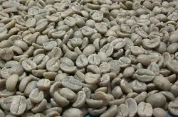 埃塞俄比亚日晒耶加雪菲阿朵朵adado吉多Gedeo产区G1级咖啡熟豆