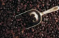 精品咖啡豆推荐——肯尼亚AA级精品咖啡 肯尼亚精品咖啡品质 肯尼