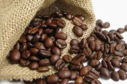 中国咖啡网推荐巴拿马波奎特凯萨路易斯庄园水洗处理精品咖啡熟豆
