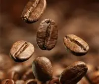 巴拿马精品咖啡的庄园介绍——希望庄园 巴拿马咖啡产区 巴拿马咖
