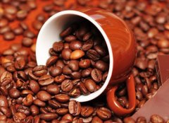 卢旺达咖啡豆的生产过程介绍 优质的卢旺达咖啡是如何出产的？ 卢