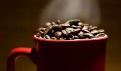 巴拿马咖啡庄园介绍——希望庄园 波奎特咖啡产区 卡图拉咖啡 卡