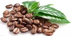 怎样储存咖啡熟豆才保证咖啡的风味？ 咖啡熟豆的保养方式 如何保