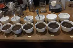 鉴定咖啡的风味咖啡的品鉴咖啡的品味六步骤学会品尝及鉴定咖啡