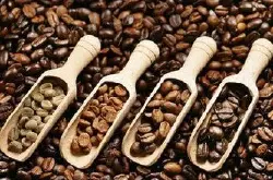 中国咖啡网咖啡产国简介秘鲁咖啡卡哈玛卡水洗处理精品咖啡熟豆