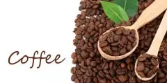 哥斯达黎加精品咖啡产区介绍 哥斯达黎加咖啡风味特色 塔拉珠咖啡
