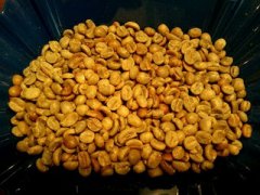 印尼精品咖啡豆介绍——爪哇咖啡 阿拉比卡咖啡树 印尼咖啡的产区
