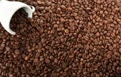 哥伦比亚瑰夏咖啡介绍 哥伦比亚希望庄园 阿拉比卡咖啡品种 巴拿