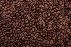 肯尼亚精品咖啡市场 肯尼亚咖啡种植 肯尼亚咖啡的质量 肯尼亚咖