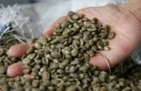 哥斯达黎加精品咖啡风味介绍 哥斯达黎加咖啡口味特征 哥斯达黎加