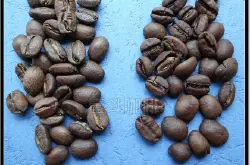 咖啡品种帕卡马拉Pacamara帕卡马拉品种产区品种由来品种风味