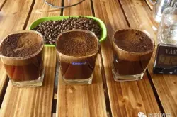 中国咖啡网推荐哪里的咖啡豆好？与海地生产的咖啡不同多米尼加咖