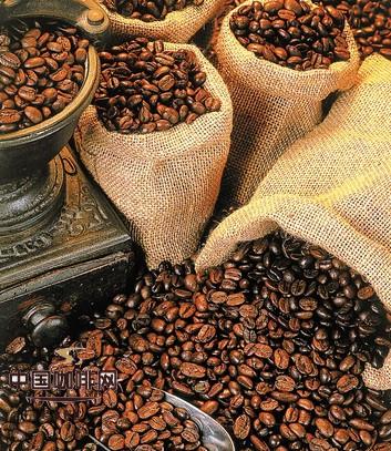 巴西咖啡的树种包括了波旁波旁变种卡杜拉巴西咖啡的世界咖啡产量