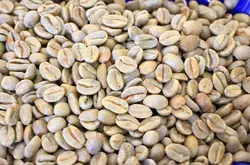衣索比亚日晒耶加雪菲精品咖啡生豆未烘焙Adado阿朵朵G1级原豆