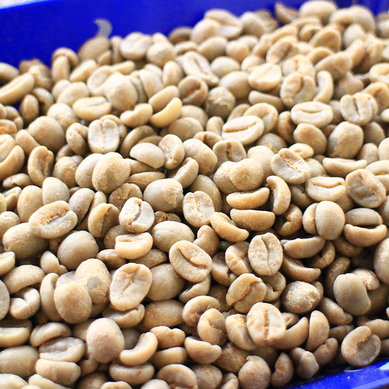 如何手选咖啡生豆？正确挑选咖啡生豆？肯尼亚咖啡生豆 Kenya AA