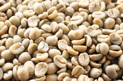 如何手选咖啡生豆？正确挑选咖啡生豆？印尼苏门答腊岛林东曼特宁
