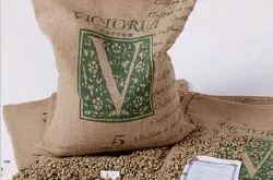咖啡豆多少钱一斤咖啡豆种植咖啡豆种子非洲坦桑尼亚乞力马扎罗珍