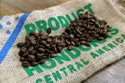 咖啡豆在哪买咖啡豆多少钱一斤水洗埃塞俄比亚90+公司咖啡生豆价