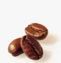 中美洲咖啡豆与产区豆子的区别洪都拉斯宏都拉斯圣胡安喜多1号地