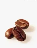 公豆 咖啡豆种植  圆豆 咖啡风味 如何区别公母豆风味 形成特征
