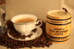 蓝山咖啡对于瑕疵豆的比例有很高的要求大小优先兼顾瑕疵的分级制