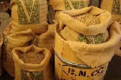 埃塞俄比亚咖啡产区吉马(Djimmah)遵循古法採取日晒日晒处理班其