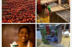 咖啡豆选购教程咖啡豆品牌种类指南肯尼亚咖啡AA亚拉庄园珍珠圓豆