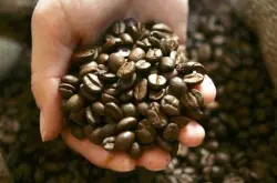 咖啡种类介绍及各类咖啡的做法手冲咖啡的制作方法印度尼西亚巴厘