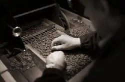 尔瓦多庄园微批次水洗帕卡马咖啡豆有几种如何把咖啡豆做成咖啡咖