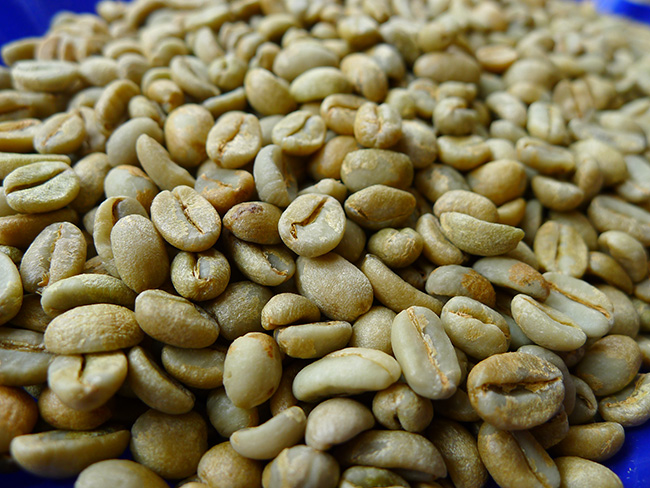 咖啡豆|咖啡豆价格|咖啡豆报价|咖啡豆批发咖啡豆价格价格多少钱