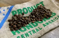 阿拉比卡咖啡豆怎么磨选购咖啡豆最全指南?咖啡小白如何购买咖啡