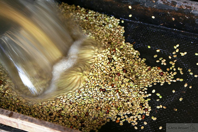 咖啡豆生豆处理法简介水洗法中国咖啡网水洗G2精品咖啡耶加雪啡