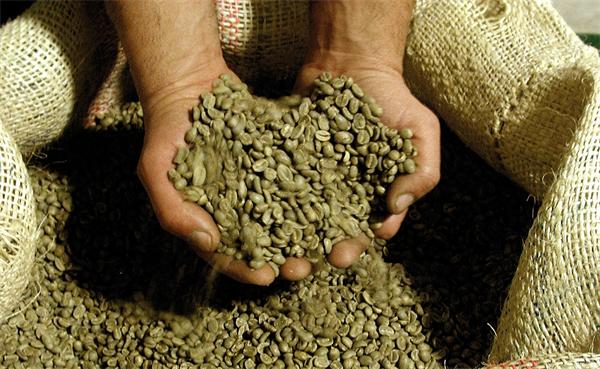 非洲的主要咖啡豆生产国有哪些Tanzania AA坦桑尼亚咖啡豆黑咖啡
