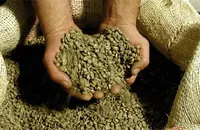 非洲的主要咖啡豆生产国有哪些Tanzania AA坦桑尼亚咖啡豆黑咖啡