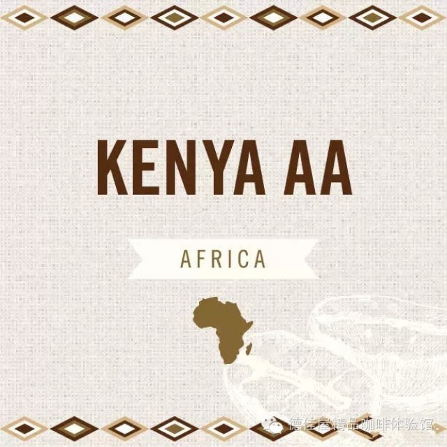肯亚咖啡多少钱？肯亚咖啡豆批发价格肯尼亚咖啡等级的划分方法