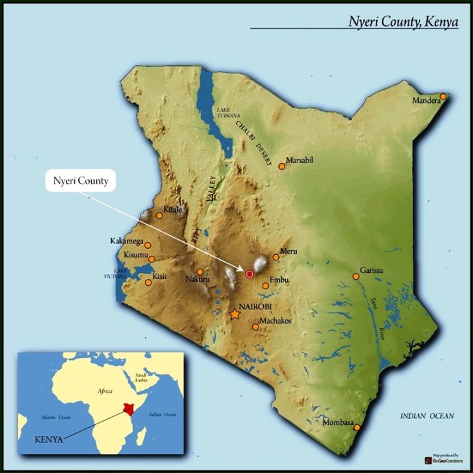 《走出非洲》的肯尼亚咖啡肯尼亚咖啡的特点肯尼亚 kenya AA 咖啡