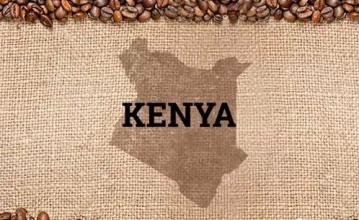 2016年肯尼亚特产大全肯尼亚咖啡攻略新鲜下单烘焙咖啡豆肯尼亚aa