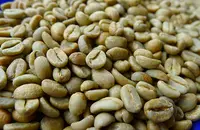 2016卢旺达咖啡购物攻略_卢旺达咖啡特产推荐_卢旺达旅游买什么特
