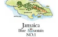牙买加蓝山咖啡豆多少钱一斤牙买加咖啡豆厂家牙买加咖啡豆公司