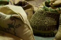 洪都拉斯生咖啡-洪都拉斯生咖啡进口关税的优惠政策洪都拉斯咖啡