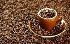 精美埃塞俄比亚咖啡豆埃塞俄比亚咖啡豆介绍