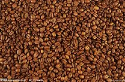 萨尔瓦多咖啡的价格萨尔瓦多咖啡的介绍萨尔瓦多咖啡的简介