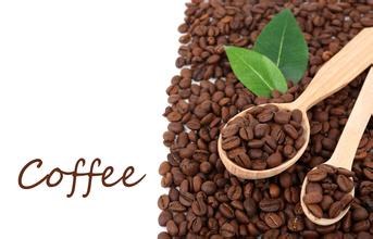 蓝山咖啡豆的产地蓝山咖啡豆的文化蓝山咖啡豆的价格精品咖啡