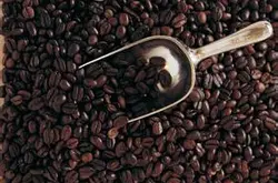 咖啡豆的种类_咖啡豆有哪些种类咖啡树的品种