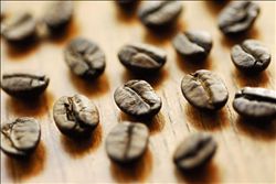 尼加拉瓜咖啡豆的做法咖啡豆多少钱一斤尼加拉瓜