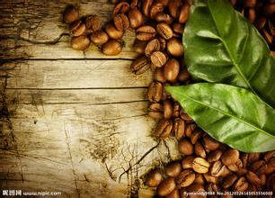 摩卡咖啡豆的特点咖啡豆的种类摩卡风味咖啡豆